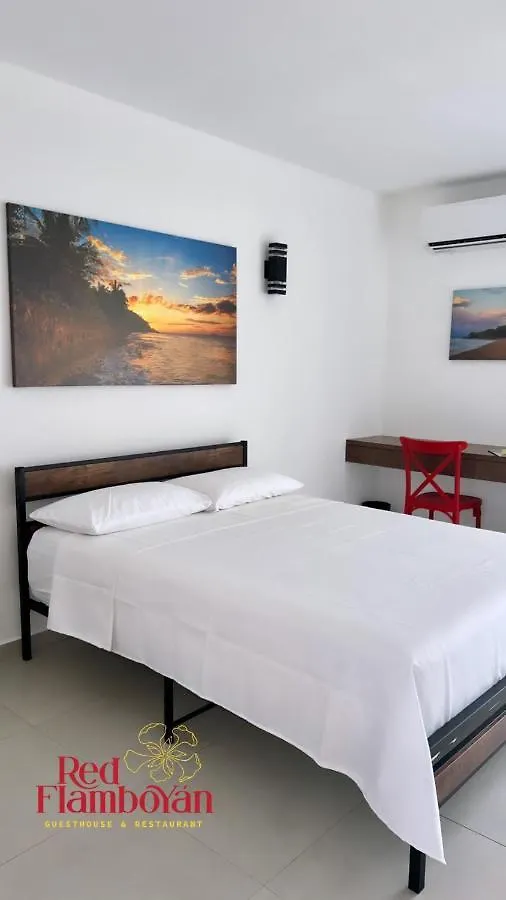 Red Flamboyan Guesthouse And Restaurant Rincón