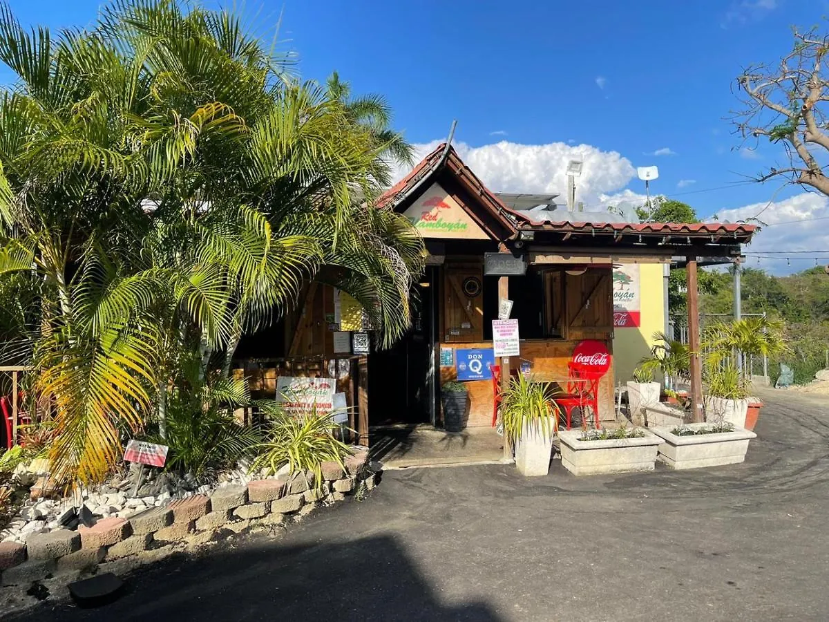 Red Flamboyan Guesthouse And Restaurant Rincón Pensión